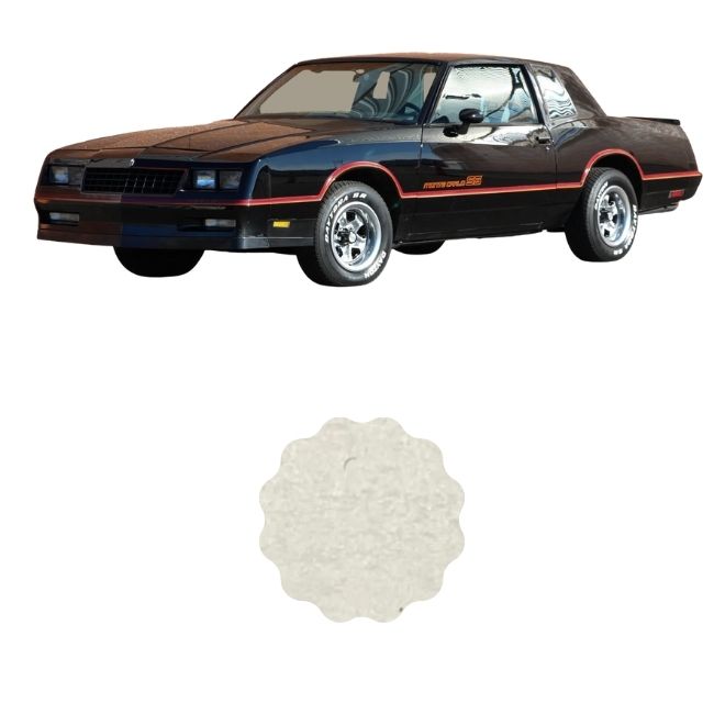 1979 deals camaro headliner